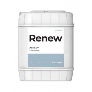 Renew