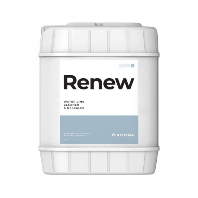 Renew