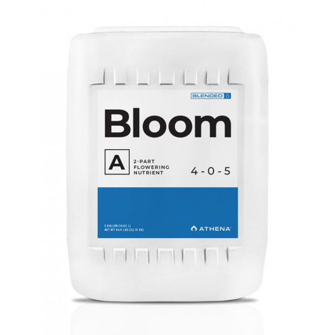 Bloom A