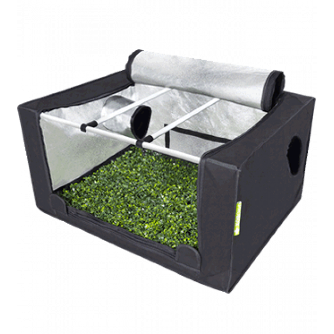 PROBOX PROPAGATOR M